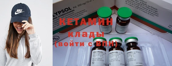 PSILOCYBIN Алзамай