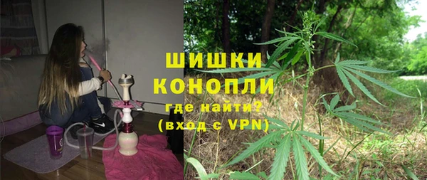 PSILOCYBIN Алзамай