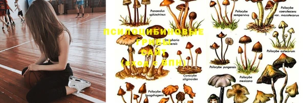 герыч Алексеевка