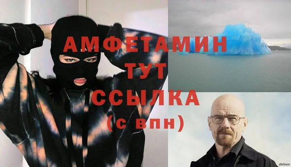 PSILOCYBIN Алзамай